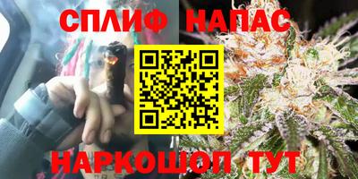 скорость Будённовск