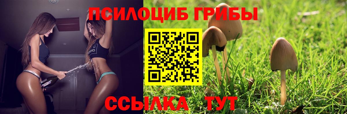 Челябинск  Псилоцибиновые грибы прущие грибы  Вход с VPN 